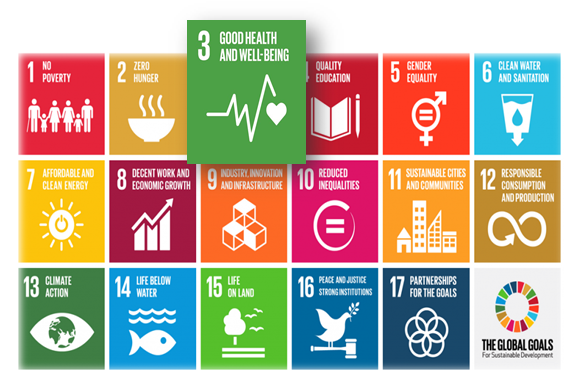 Ladder buitenspiegel Individualiteit Nederland, mondiale gezondheid en de SDGs, gaat dit samen? - SDG Nederland