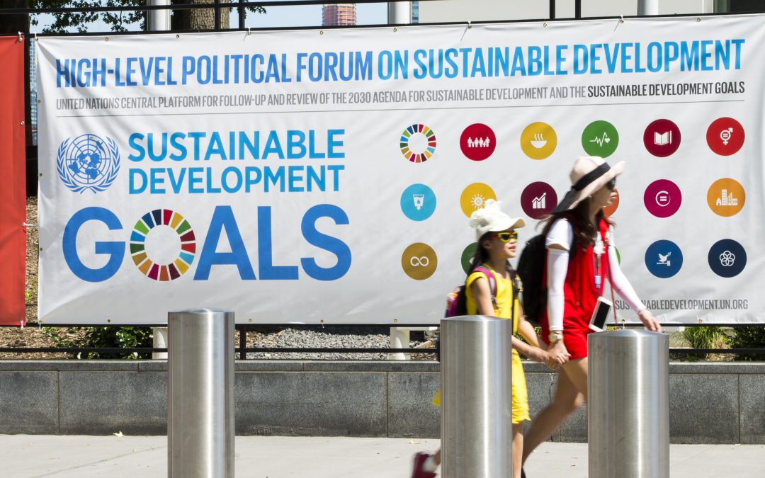 HLPF 2020: Een urgente vergadering onder bizarre omstandigheden