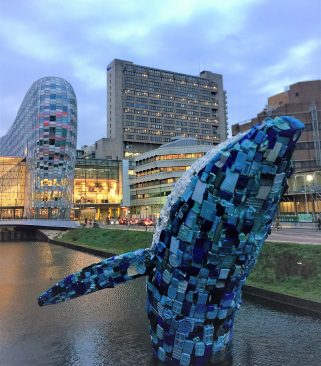 plastic walvis Utrecht