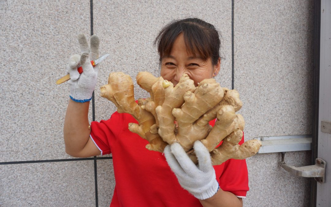 Hoe biologische landbouw de Duurzame Ontwikkelingsdoelen stuwt