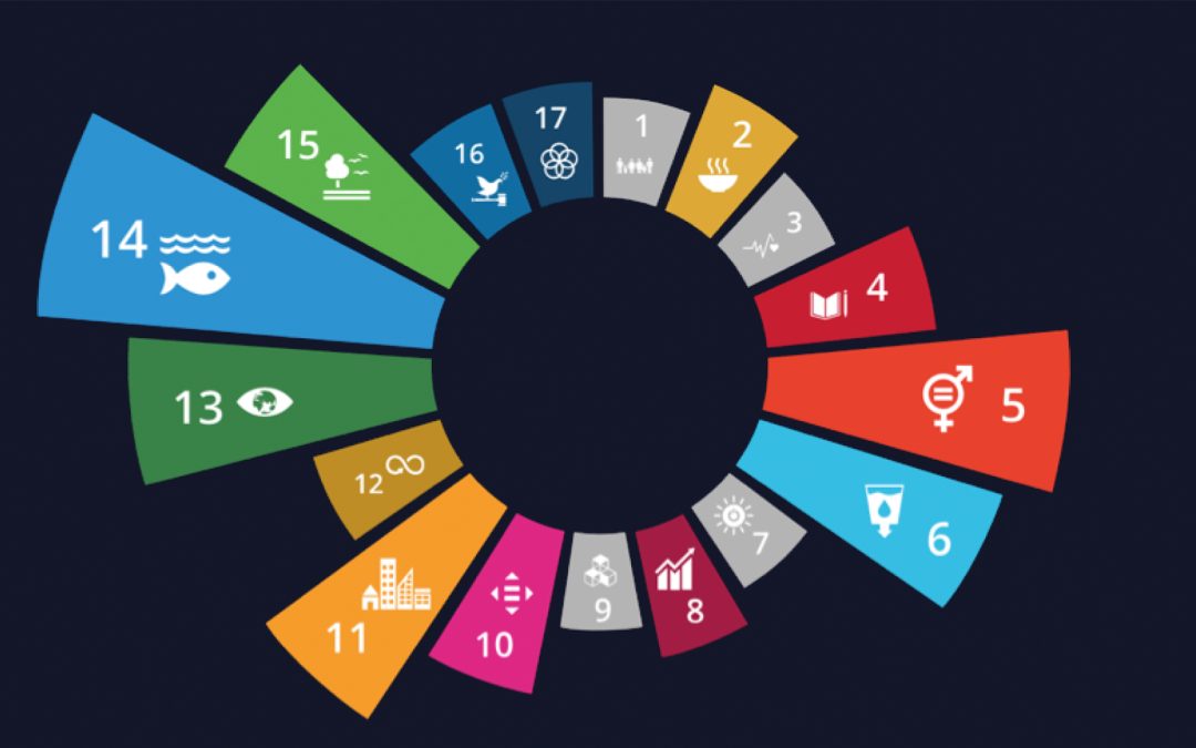 Wat is de social impact van jouw bedrijf? Deelnemers voor pilot Social Handprint gezocht