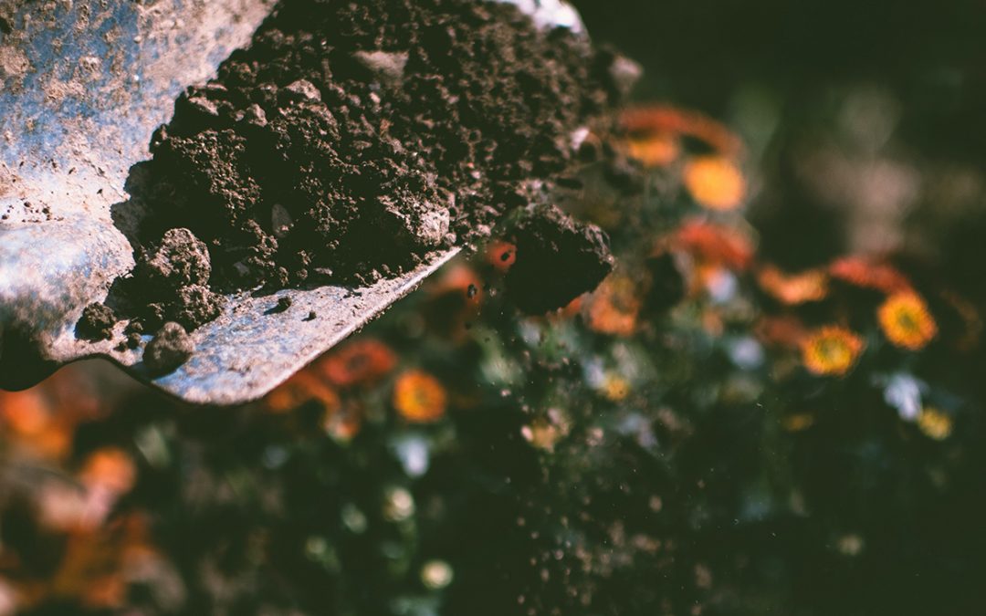 Voor ieders welzijn: natuur ondersteunend beleid kan miljoenen nieuwe banen creëren