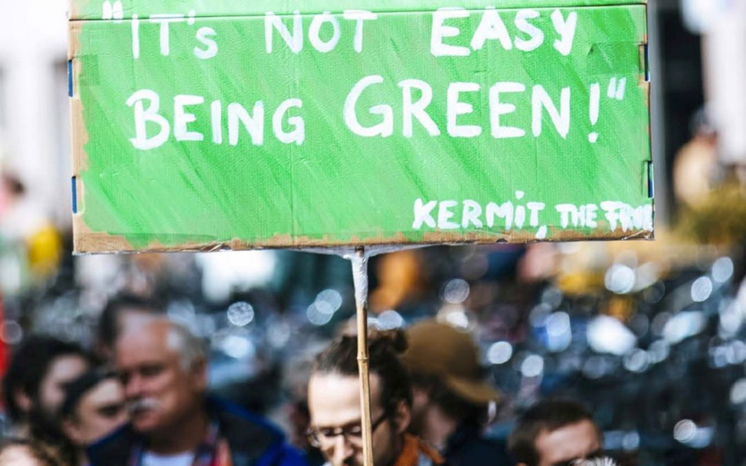 Duurzame ontwikkeling wordt steeds belangrijker voor Nederlandse organisaties